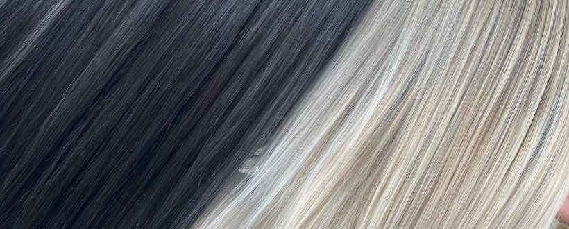 301110012_1496772017410842_1463885625582119144_n